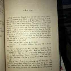 Những bông hoa anh túc 932345