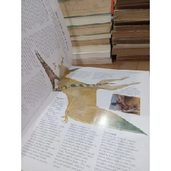 Birds of Asia & Australia: An Illustrated encyclopedia and birdwatching guide - David Alderton 791707