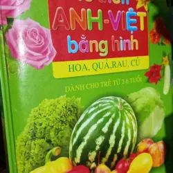 từ điển anh việt bằng hình cho bé