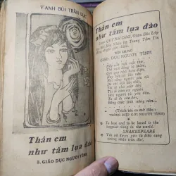 Một Bông Hồng Cho Tình Yêu - Ý Anh Bùi Trần Lục 1010526