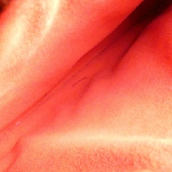 Túi xách vai Louis Vuitton Monogram Empreinte Neo Noé M45306 - Hàng hiệu Chính hãng 801918