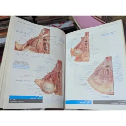 Atlas Giải Phẩu Người - Todd. R. Olson 360687