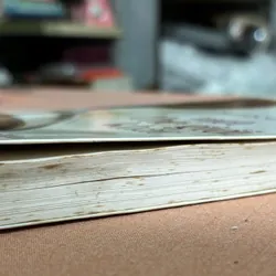 Một thế giới khác 🌊 680124