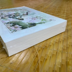 Tam sinh tam thế Thập lý đào hoa 539099