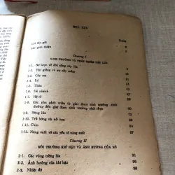 Những kiến thức cơ bản của khoa học trồng lúa 975867