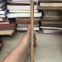 Lịch sử thế giới  995224