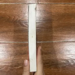 Triết học đạo đức - Vladimir Soloviev  (6) 1006810