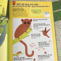 Combo 2 cuống 100k  1031149