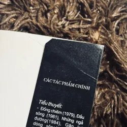 Combo 2 tác phẩm Hoàng Minh Tường 1020725