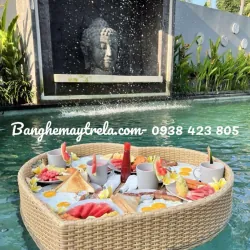 Khay nổi đồ ăn nhựa giả mây 926770