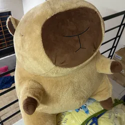 Gấu Capybara 1071716