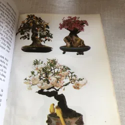 Tạo dáng bonsai 780635