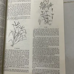 Từ Điển Bách khoa Dược Học  553299