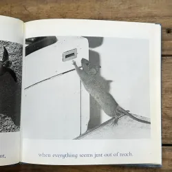 The Blue Day Book - Bradley Trevor Greive 728434