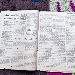 Tiểu thuyết thứ bảy 508339