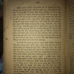 Mưa về nguồn - Nguyễn Ngọc Mộc  970896