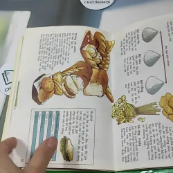 Thực Phẩm - Sự Kỳ Diệu Của Sinh Học (1998) 727307