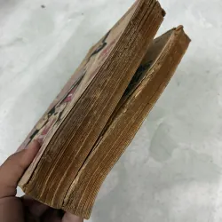 Không gia đình (Bộ 2 tập) 1029720