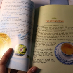 Trà sức khoẻ dưỡng sinh 2010, Hải Lăng 477377
