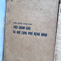 Nội kinh linh khu - Huỳnh Minh Đức 532332