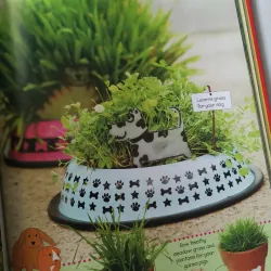 Ready, Steady, Grow! Quick and Easy Gardening Projects 1002061