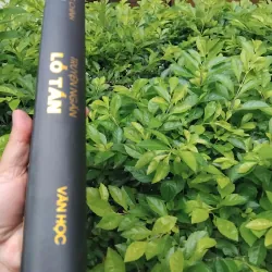 Truyện ngắn Lỗ Tấn  994783