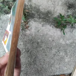 Quang Dũng người và thơ ( bản in đầu ) 1023975