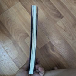 Tôi là một con lừa - Nguyễn Phương Mai 531041