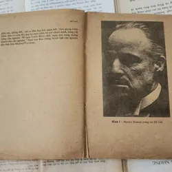 Tác phẩm văn học kinh điển của Mario Puzo: BỐ GIÀ 716941