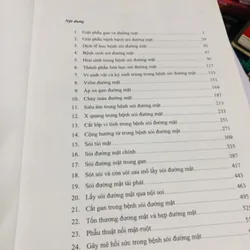 📘 SỎI ĐƯỜNG MẬT – Nguyễn Đình Hối & Nguyễn Mậu Anh 700887