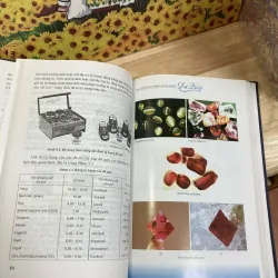 Các Phương Pháp Giám Định Đá Quý - Nguyễn Ngọc Khôi 933894