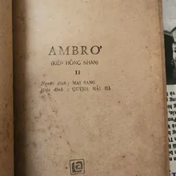 Trọn bộ 2 tập KIẾP HỒNG NHAN - Tác giả Kathleen Winsor 703547