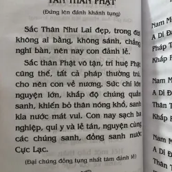 Phật thuyết đại thừa vô lượng thọ trang nghiêm thanh tịnh bình đẳng giác kinh  1009767