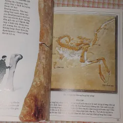 4 CUỐN TỦ SÁCH KIẾN THỨC THẾ HỆ MỚI (BÌA MỀM) 713352