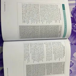 Pagoda IELTS Writing 936304