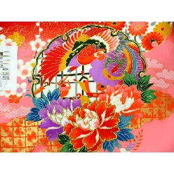 Cô gái một mảnh - Hàng hiệu Authentic 878517