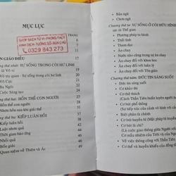 Đại đạo tam kỳ phổ độ  tam giáo quy nguyên ngũ chi phục nhứt  THIÊN ĐẠO  328110