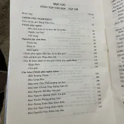 Tổng tập văn học Việt Nam 13B NGÂM KHÚC  975674