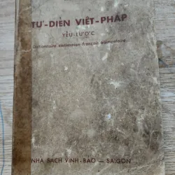 Tự điển Việt Pháp yếu lược | Đào văn tập | 1951 760165