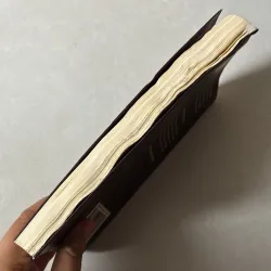 Tình - Huỳnh Viết Lệnh 756747