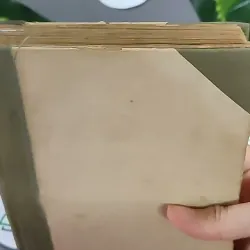 Trà Hoa Nữ 604659