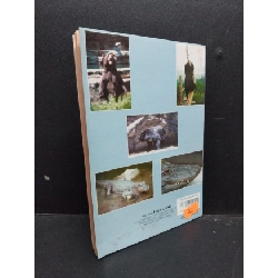 Kỹ thuật nuôi gấu và cá sấu mới 60% ố nặng bẩn bìa 2000 HCM1406 Việt Chương SÁCH KỸ NĂNG 915453