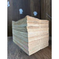 TRUYỆN TRANH Vũ Khúc Thiên Nga - Kyoko Ariyoshi 135671