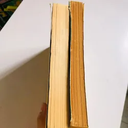 📚✨ BỘ 2 SÁCH TỬ VI XƯA ✨📚 Nguyễn Phát Lộc ( Tử vi tổng hợp & Tử vi hàm số) 701525