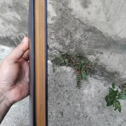 Sứ mệnh văn nghệ của Nguyễn Nam Châu 1026176