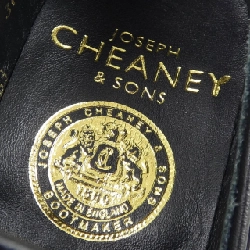 【Mã giảm giá】Giày CHEANEY 662826