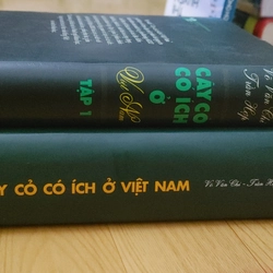 CÂY CỎ CÓ IT Việt Nam 