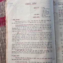 Cẩm nang của chuyên viên sửa đồng hồ 759917
