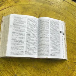 TỪ ĐIỂN Y HỌC ANH- VIỆT- BÁC SĨ PHẠM NGỌC TRÍ 609748