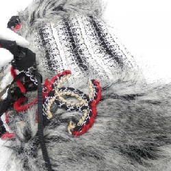 Túi xách vai Chanel - Hàng hiệu Authentic 802138